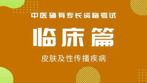 2025中医医术确有专长临床篇-皮肤及性传播疾病