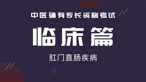 2025中医医术确有专长临床篇-肛门直肠疾病