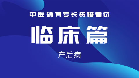 2025中医医术确有专长临床篇-产后病
