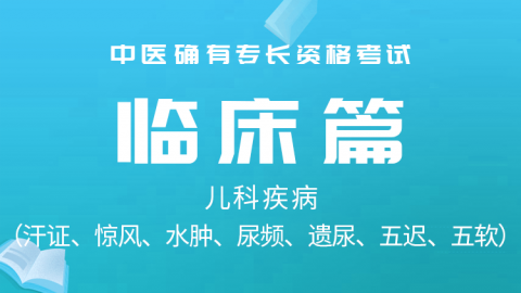 2025中医医术确有专长临床篇-儿科疾病（汗证、惊风、水肿、尿频、遗尿、五迟、五软）