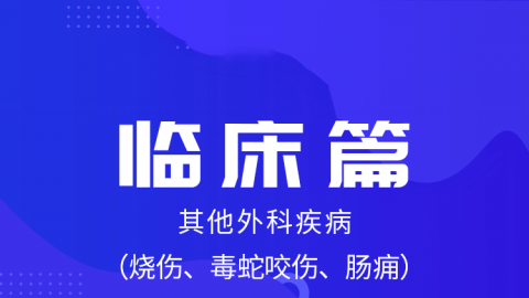 2025中医医术确有专长临床篇-其他外科疾病（烧伤、毒蛇咬伤、肠痈）