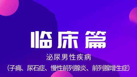2025中医医术确有专长临床篇-泌尿男性疾病