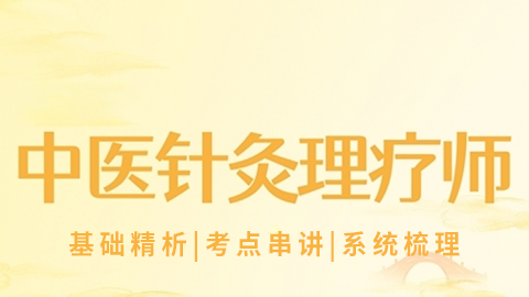 中医针灸理疗师-精讲课