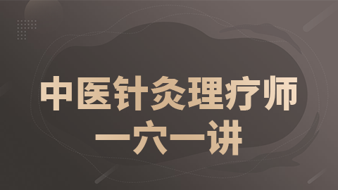 2025中医针灸理疗师-一穴一讲