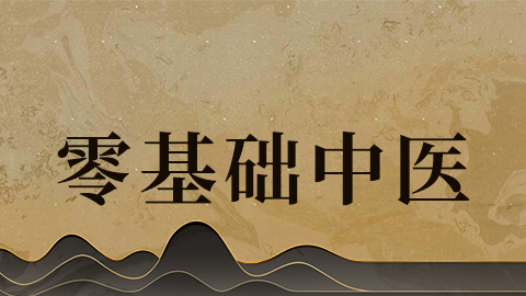 零基础中医