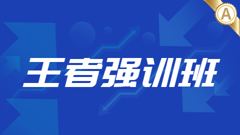 2026康复医学治疗技术（师）-王者强训班-B班