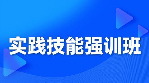 2026中医执业医师（含助理）-实践技能强训班